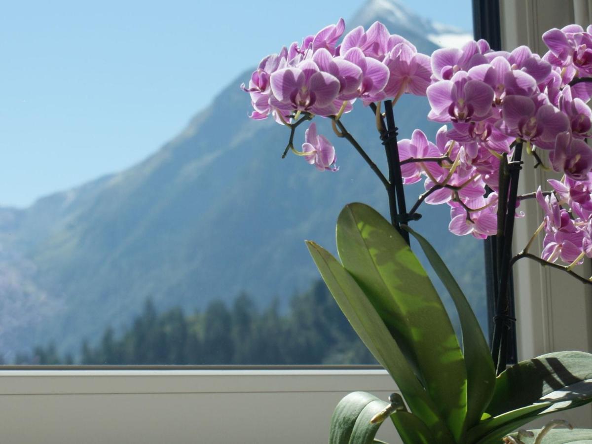 Apartment Apartment With Terrace In Kaprun Salzburg Kaprun